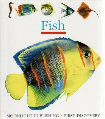 Fish(English, Hardcover, Krawczyk Sabine)