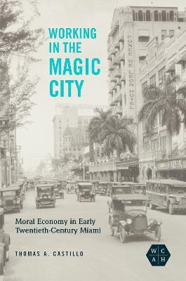 Working in the Magic City(English, Electronic book text, Castillo Thomas A.)