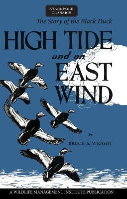 High Tide and an East Wind(English, Hardcover, Wright Bruce S.)