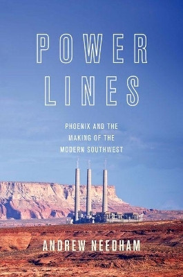 Power Lines(English, Paperback, Needham Andrew)
