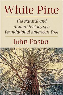 White Pine(English, Paperback, Pastor John)