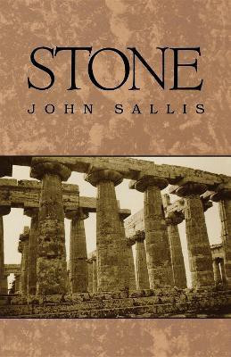 Stone(English, Paperback, Sallis John)