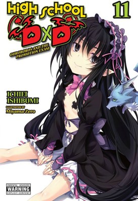 High School DxD, Vol. 11 (light novel)(English, Paperback, Trowell Haydn)