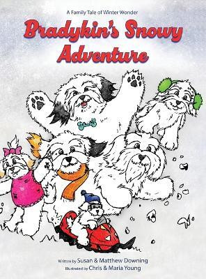 Bradykin's Snowy Adventure(English, Hardcover, Downing Susan)