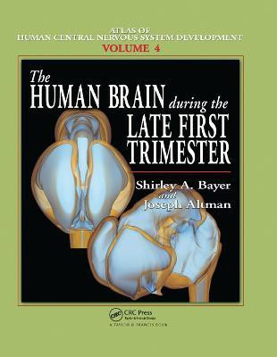 The Human Brain During the Late First Trimester(English, Paperback, Bayer Shirley A.)