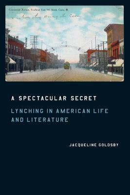 A Spectacular Secret(English, Paperback, Goldsby Jacqueline)