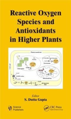 Reactive Oxygen Species and Antioxidants in Higher Plants(English, Hardcover, unknown)