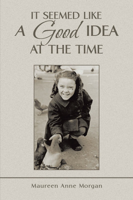 It Seemed Like a Good Idea at the Time(English, Hardcover, Morgan Maureen Anne)