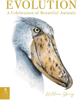 Evolution: A Celebration of Beautiful Animals(English, Hardcover, Spring William)