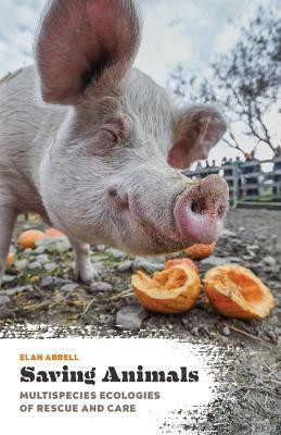 Saving Animals(English, Paperback, Abrell Elan)