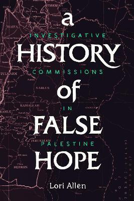 A History of False Hope(English, Paperback, Allen Lori)
