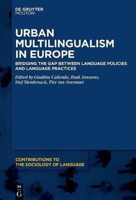 Urban Multilingualism in Europe(English, Hardcover, unknown)