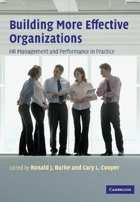 Building More Effective Organizations(English, Paperback, unknown)
