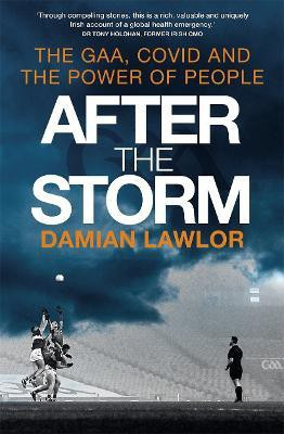 After the Storm(English, Paperback, Lawlor Damian)