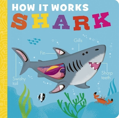 How it Works: Shark(English, Board book, Littleboy Molly)