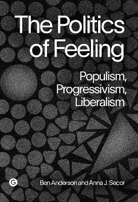 The Politics of Feeling(English, Hardcover, Anderson Ben)