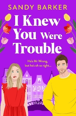 I Knew You Were Trouble(English, Hardcover, Barker Sandy)