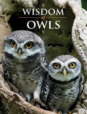 Wisdom of Owls(English, Hardcover, unknown)