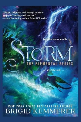 Storm(English, Paperback, Kemmerer Brigid)