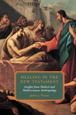 Healing in the New Testament(English, Paperback, Pilch John J.)