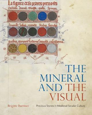 The Mineral and the Visual(English, Hardcover, Buettner Brigitte)