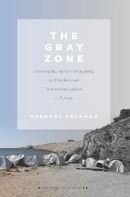 The Gray Zone(English, Paperback, Feldman Gregory)