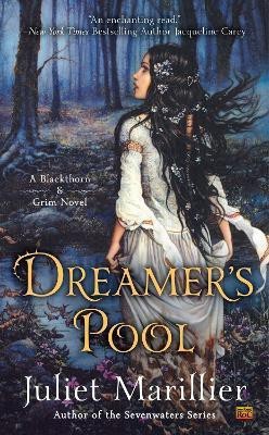 Dreamer's Pool(English, Paperback, Marillier Juliet)