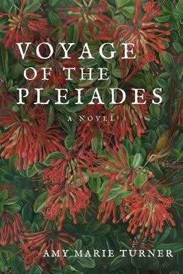 Voyage of the Pleiades(English, Paperback, Turner Amy Marie)