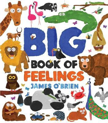 Big Book of Feelings(English, Hardcover, O'Brien James)