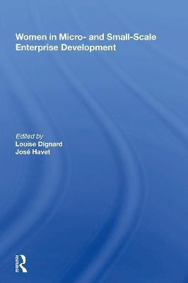 Women In Micro- And Small-scale Enterprise Development(English, Hardcover, Dignard Louise)