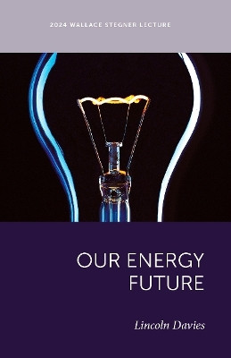 Our Energy Future(English, Paperback, Davies Lincoln)