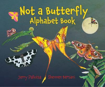 Not a Butterfly Alphabet Book(English, Hardcover, Pallotta Jerry)