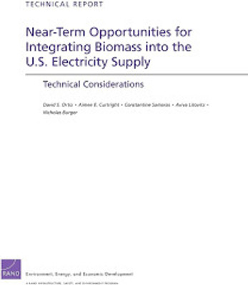Near-Term Opportunities for Integrating Biomass into the U.S. Electricity Supply(English, Paperback, Ortiz David S.)