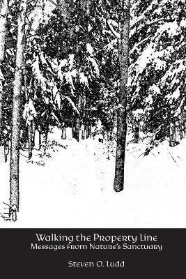 Walking the Property Line(English, Paperback, Ludd Steven O)