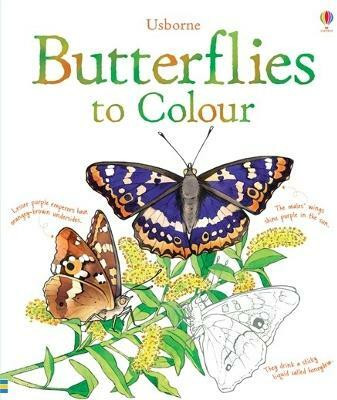 Butterflies to Colour(English, Paperback, unknown)