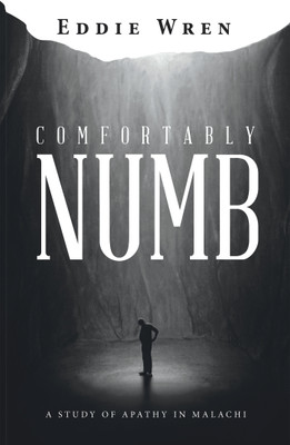 Comfortably Numb(English, Paperback, Wren Eddie)