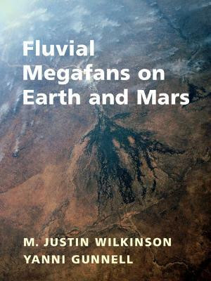 Fluvial Megafans on Earth and Mars(English, Hardcover, unknown)