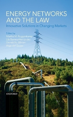 Energy Networks and the Law 1 Edition(English, Hardcover, unknown)