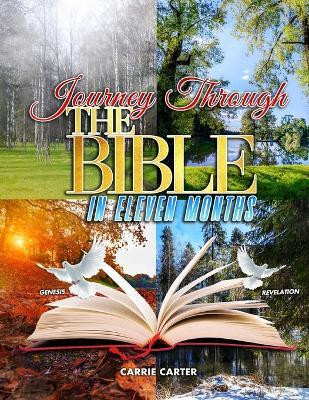 Journey Through the Bible in Eleven Months(English, Paperback, Carter Carrie)