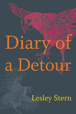 Diary of a Detour(English, Paperback, Stern Lesley)