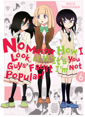 No Matter How I Look at it, It's You Guys' Fault I'm Not Popular!, Vol. 6(English, Paperback, Tanigawa Nico)
