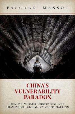 China's Vulnerability Paradox(English, Paperback, Massot Pascale)