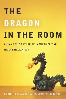 The Dragon in the Room(English, Electronic book text, Gallagher Kevin)