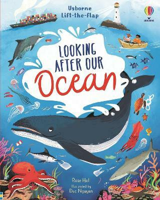 Lift-the-Flap Looking After Our Ocean(English, Board book, Hall Rose)
