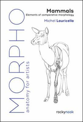 Morpho: Mammals(English, Paperback, Lauricella Michel)