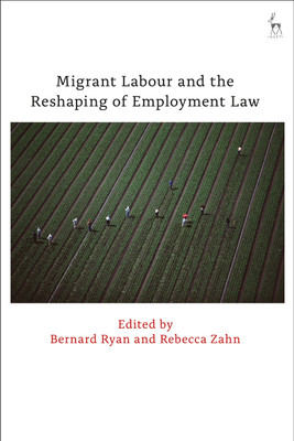 Migrant Labour and the Reshaping of Employment Law(English, Paperback, unknown)