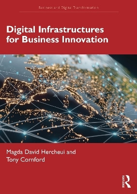 Digital Infrastructures for Business Innovation(English, Paperback, Hercheui Magda David)