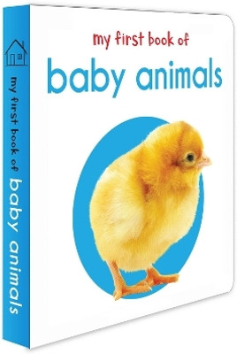 My First Book of Baby Animals  - By Miss & Chief(English, Hardcover, Wonder House Books)