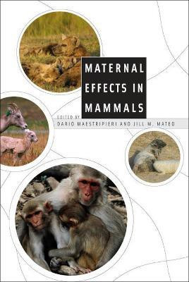 Maternal Effects in Mammals(English, Paperback, unknown)