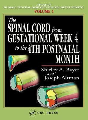 The Spinal Cord from Gestational Week 4 to the 4th Postnatal Month(English, Electronic book text, Bayer Shirley A.)